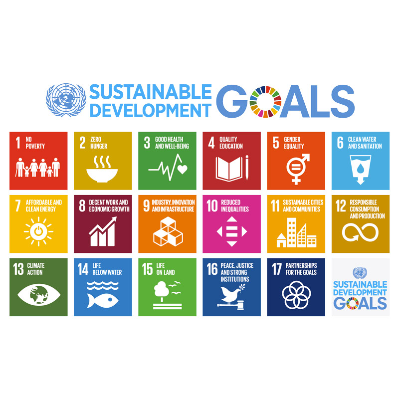 ASVIS e Agenda 2030